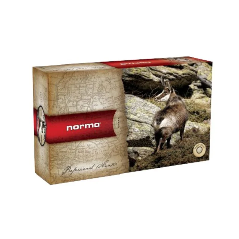 motonet202609130758271631052